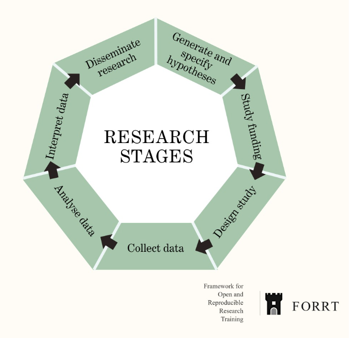 Opportunities for Feedback Across the Research Cycle